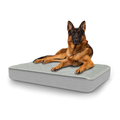 Topology Dog Bed with Quilted Topper - Large