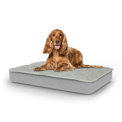 Topology Dog Bed with Quilted Topper - Medium