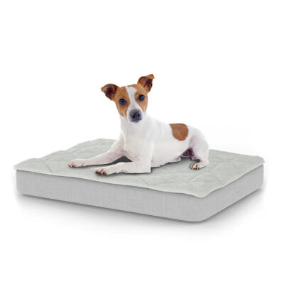 Lujosa cama para perro fácil de limpiar con funda acolchada - Pequeña