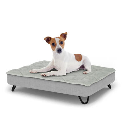 Topology Dog Bed with Quilted Topper and Black Metal Hairpin Feet - Small