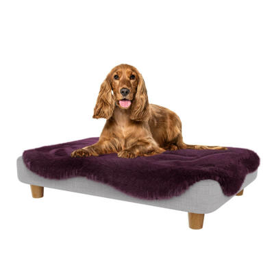 Topology Dog Bed with Damson Purple Sheepskin Topper and Round Wood Feet - Medium