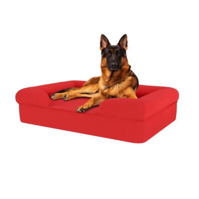Memory Foam Bolster Dog Bed - Large - Cherry Red