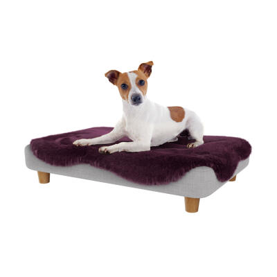 Topology Dog Bed with Damson Purple Sheepskin Topper and Round Wood Feet - Small