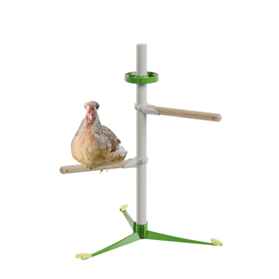 Posatoio universale per galline Freestanding - Kit principianti