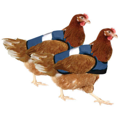 Blå refleksvest til høns - dobbeltpakke