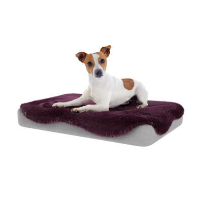 Topology Dog Bed with Sheepskin Topper - Damson Purple - Small