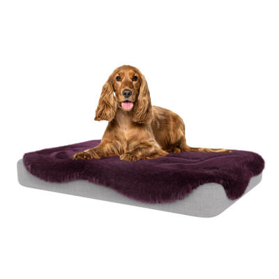 Topology Dog Bed with Sheepskin Topper - Damson Purple - Medium