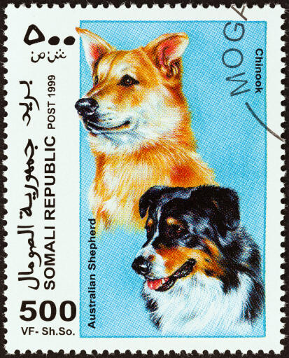 An Australian Shepherd Dog and a Chinook on a African stamp