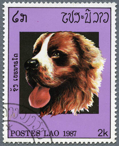 Ein berner sennenhund auf einer südostasiatischen briefmarke