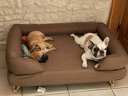 The big bed is actually really big and perfect for our 2 bulldogs who like napping together.