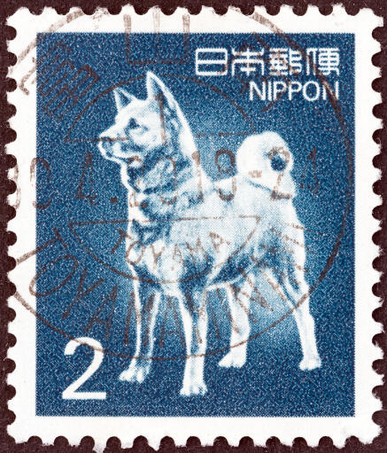 En japansk spitz på ett japanskt frimärke