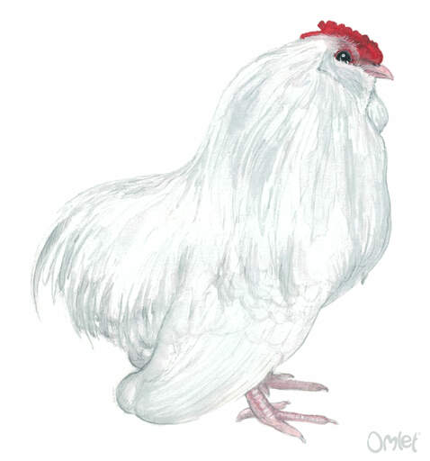 En vacker målning av en vit hane barbu du grubbe