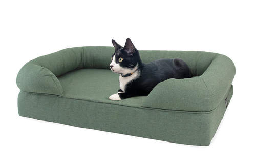 Omlet memory foam bolster bed for cats in sage green with cat laying on it