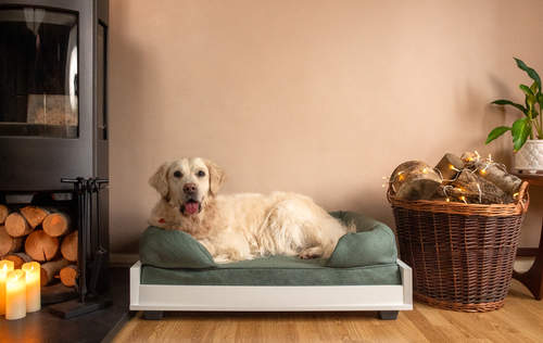 a large white dog on a green memory foam bolster bed in a living room