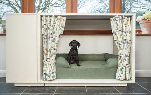 a small black puppy on a green bolster bed in a small fido studio with curtains and a wardrobe attached