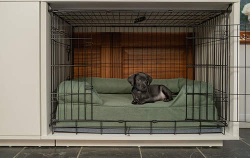 a black small puppy in a small 24 fido studio with a green bolster bed inside and a wardrobe attached