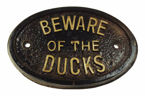 Beware of the ducks