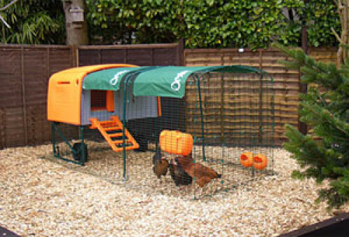 Einen orangefarbenen Eglu Cube hühnerstall mit zwei hühnern darin.