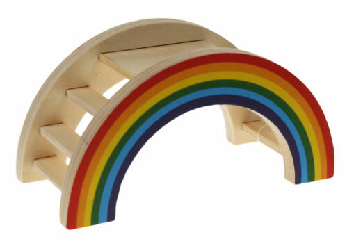 The Rainbow Play Bridge has steps and a platform for hamsters.