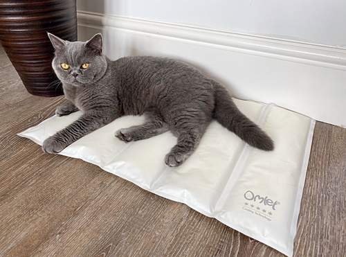 A cat resting on a cooling mat.