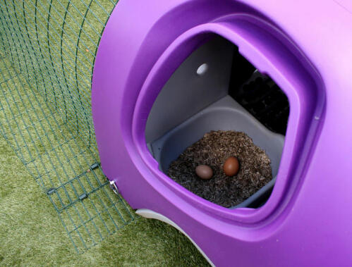 Eggs easily accessable via eggport