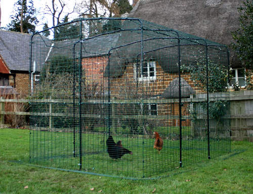 Wybieg dla kurcząt w ogrodzie z dwoma kurczakami