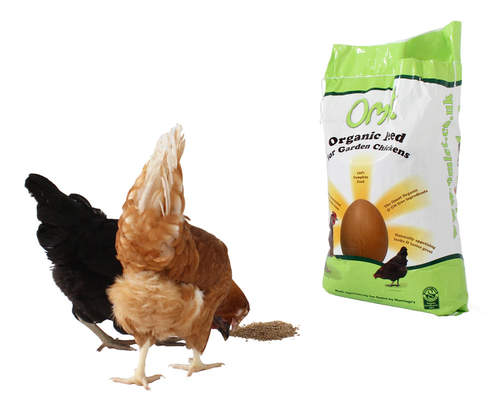 Ett välsmakande kycklingfoder som förbättrar dina hönors hälsa och ägg!
