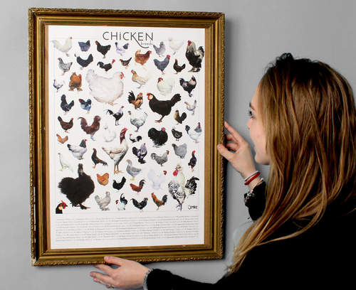 Frame your chicken poster to make it look extra special
