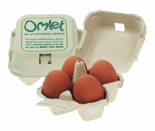 Omlet pudełko na jajka z 4 jajkami