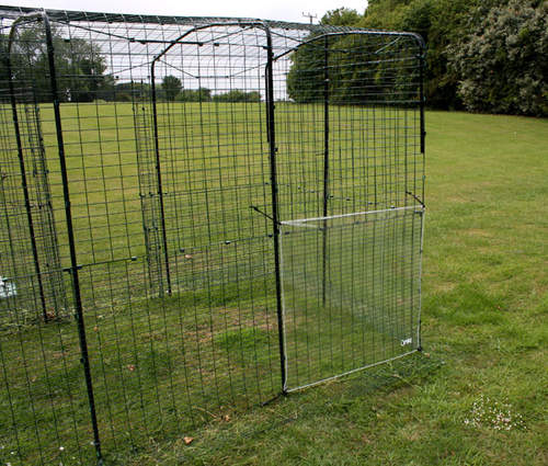 A clear cover for a walk in chicken run