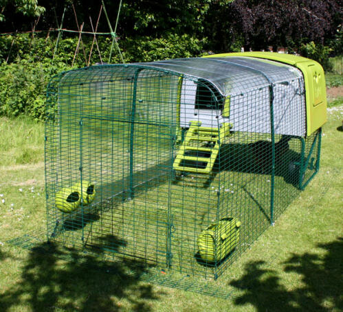 Grönt Eglu Cube hönshus med löpning och klart skydd i trädgården