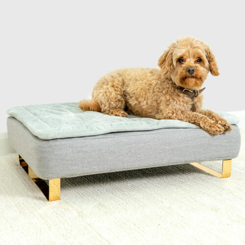 Hund sitzend auf Omlet Topology hundebett mit gestepptem bezug und Gold rail feet