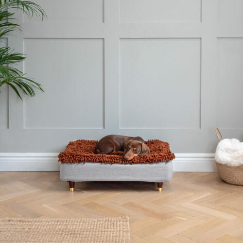 Cane sdraiato su Omlet Topology cane letto con topper in microfibra con tappo in ottone piedi di legno