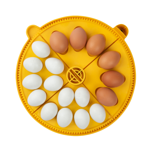 Brinsea Maxi 24 (14 hens eggs)