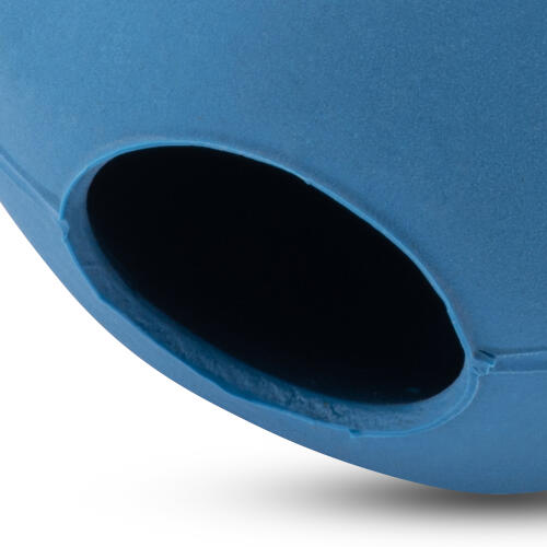 Close up of Blue Rubber Dog Toy