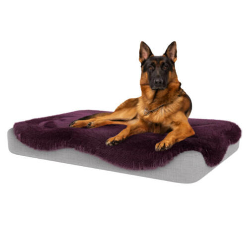 German Shepherd Dog Sitting on Large Topology Dog Bed with Damson Purple Sheepskin Topper