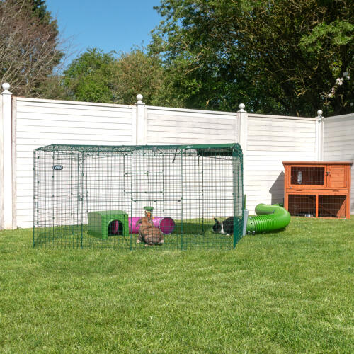 A rabbit run connected to wooden rabbit hutch.