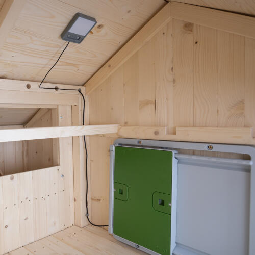 Omlet puerta de gallinero automática verde y luz de gallinero en el interior del gallinero de madera