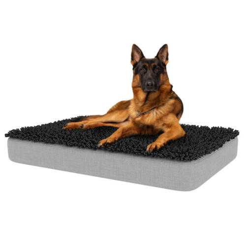 German Shepherd sitting on Topology Dog bed with Grey Microfibre Topper