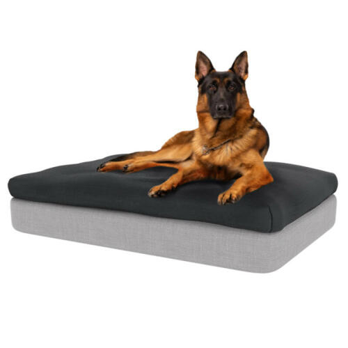German Shepherd dog Sitting on Large Topology Memory Foam Dog Bed with Charcoal Grey Beanbag Topper