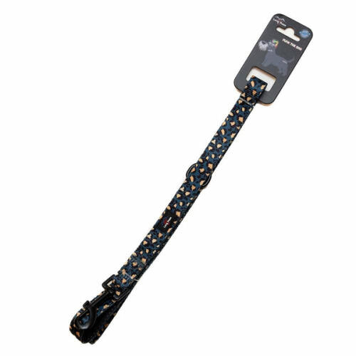 Funk the dog lead | leopard green &amp; Gold