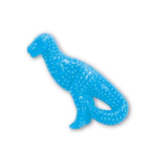 A nylabone chew toy for dogs.