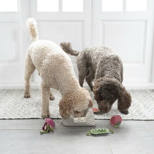 Two dogs playing with fruit and vegetable shaped toys