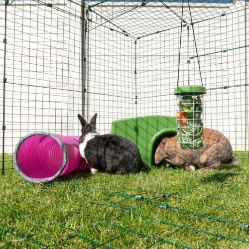 Zippi budka dla królika z platformą dla królika Zippi i Caddi uchwyt na przysmaki dla królika