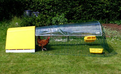 Una copertura trasparente in cima a un pollaio Eglu 