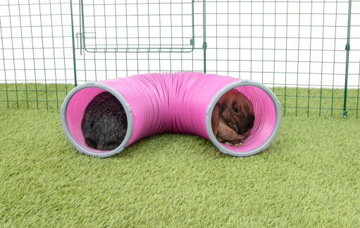 Kaniner i Zippi legetunnel
