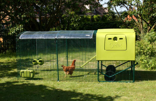 Widok z boku kurnika Eglu Cube z wybiegiem, przezroczystą pokrywą i kurczakiem