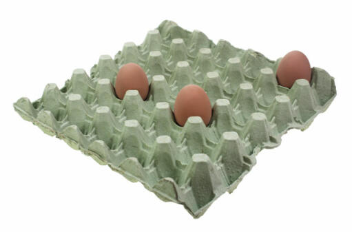 Grüner eierkarton mit drei eiern