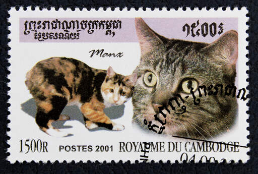Briefmarke mit einer schildpattfarbenen manx-katze darauf