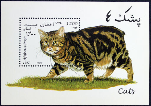 En marmorerad tabby manx på ett frimärke från afghanistan